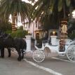 Your carriage awaits...